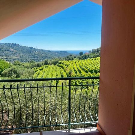 Agriturismo Ada Musso Ss Diano Borello エクステリア 写真