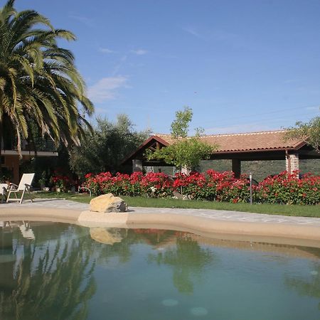 Agriturismo Ada Musso Ss Diano Borello エクステリア 写真