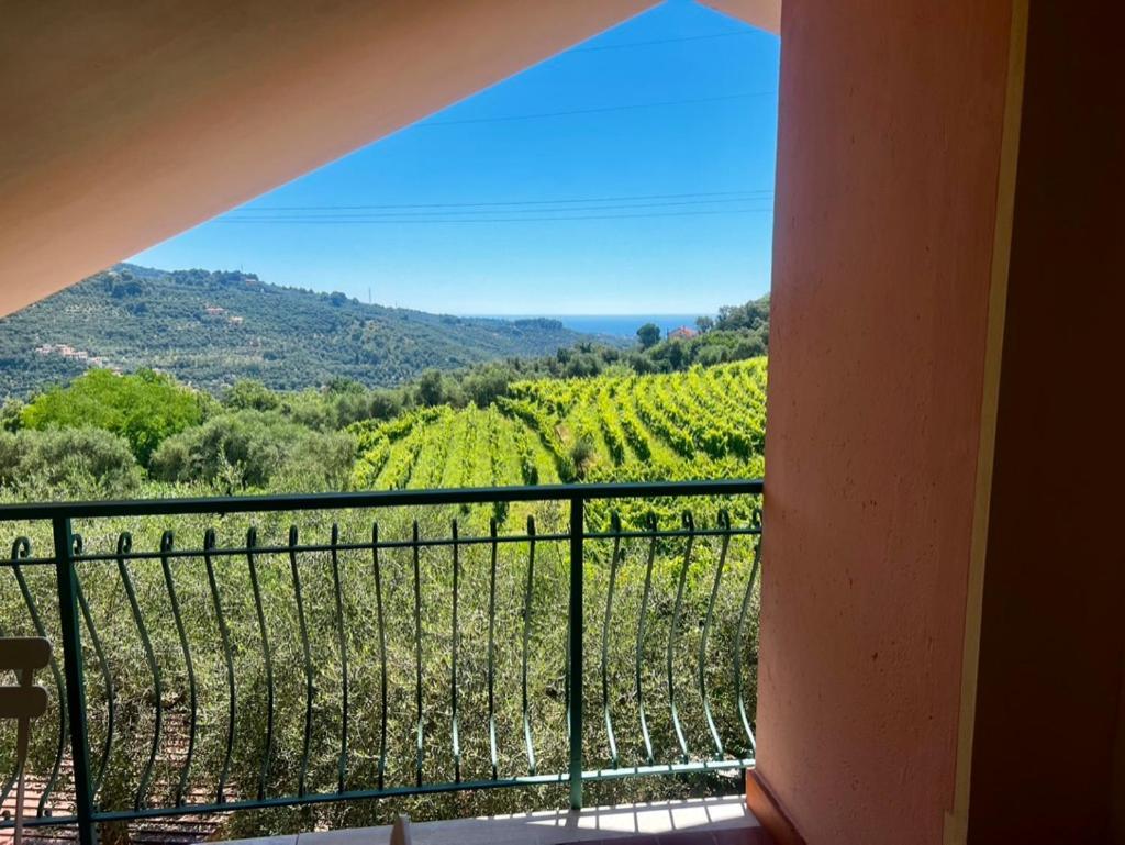 Agriturismo Ada Musso Ss Diano Borello エクステリア 写真