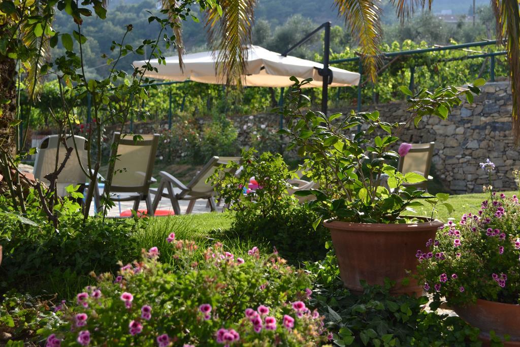 Agriturismo Ada Musso Ss Diano Borello エクステリア 写真