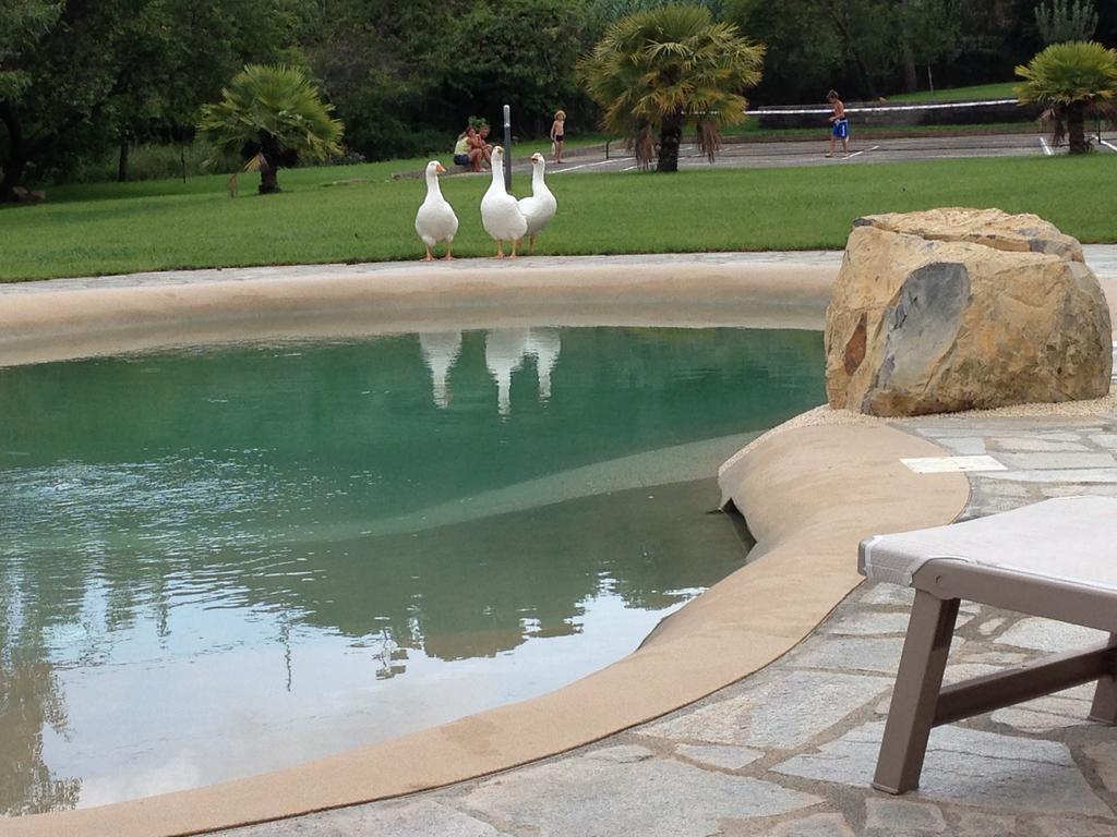 Agriturismo Ada Musso Ss Diano Borello エクステリア 写真