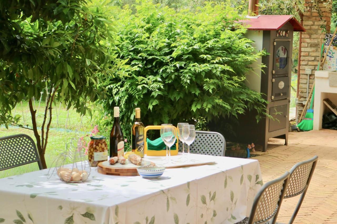 Agriturismo Ada Musso Ss Diano Borello エクステリア 写真
