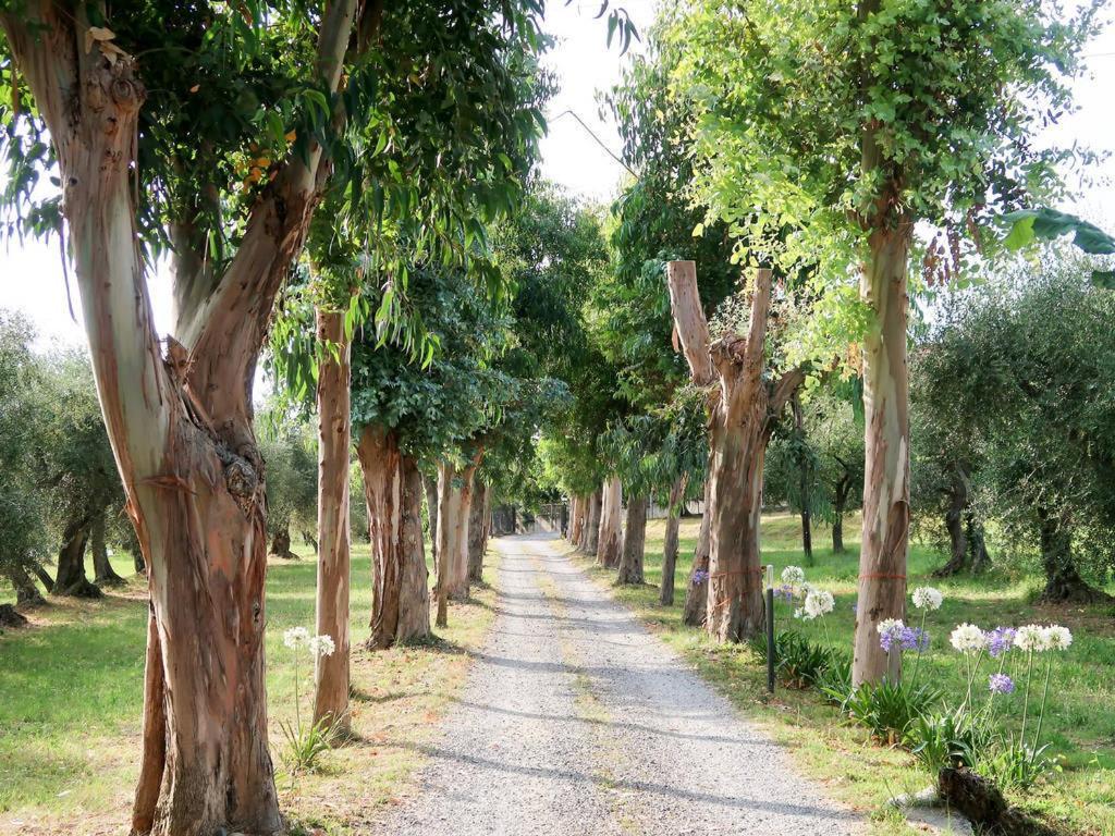 Agriturismo Ada Musso Ss Diano Borello エクステリア 写真
