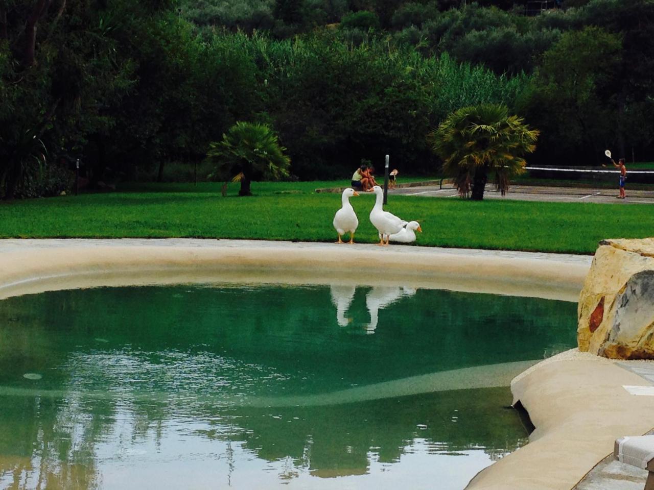 Agriturismo Ada Musso Ss Diano Borello エクステリア 写真