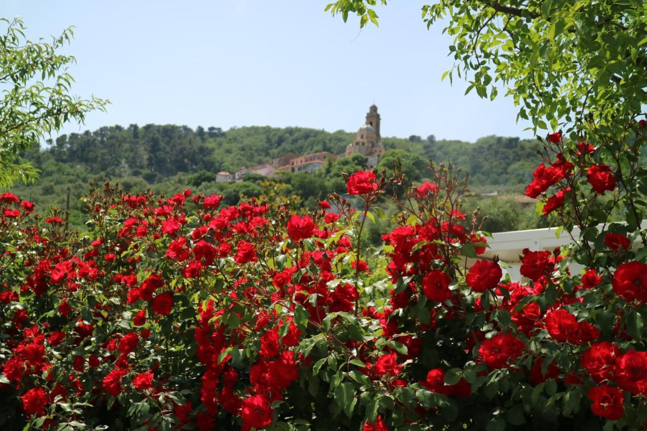 Agriturismo Ada Musso Ss Diano Borello エクステリア 写真